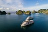 200+ billionaires are coming to Ha Long Bay for the Art for Climate event in January 2025! 