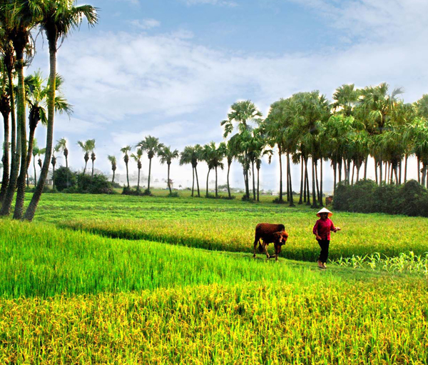 Khám Phá Thế Giới Đầy Hấp Dẫn Của Goôd88 - Nơi Giao Lưu Giữa Giải Trí Và Cơ Hội Kiếm Tiền